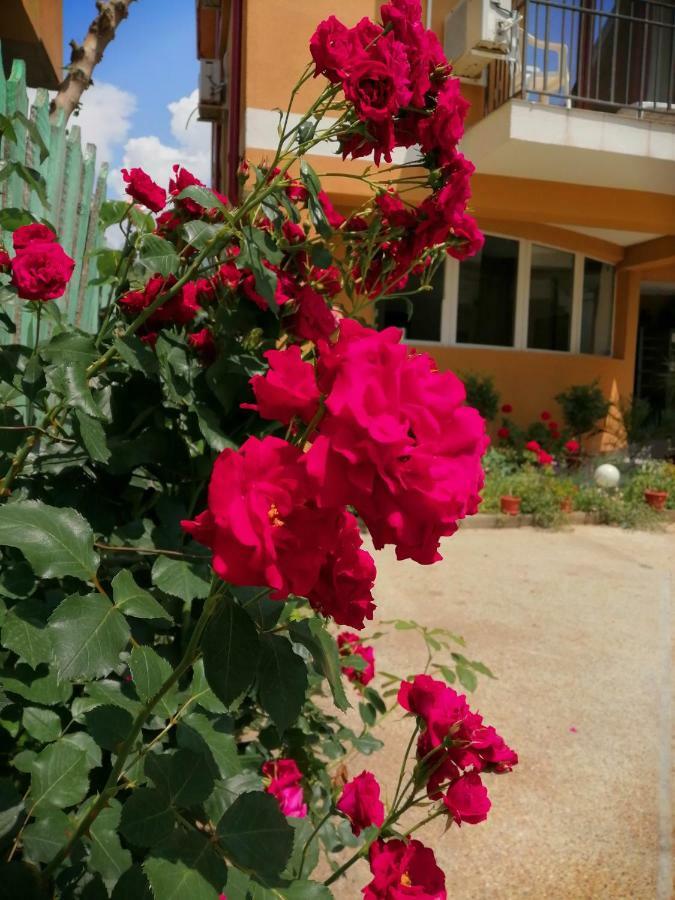 Vilele Liliana Năvodari Exterior foto